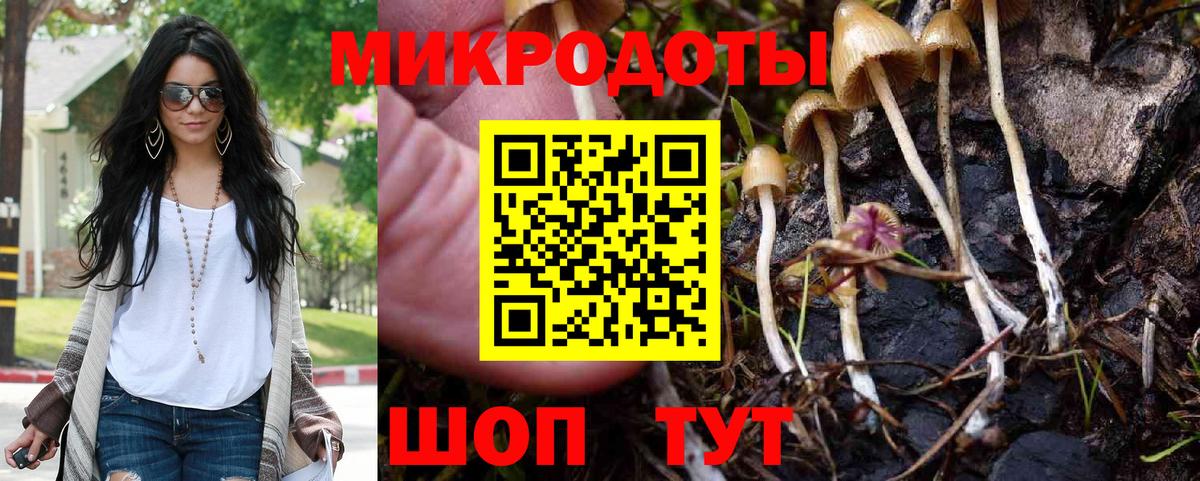 Михайловск  Галлюциногенные грибы Magic Shrooms  Вход с VPN 