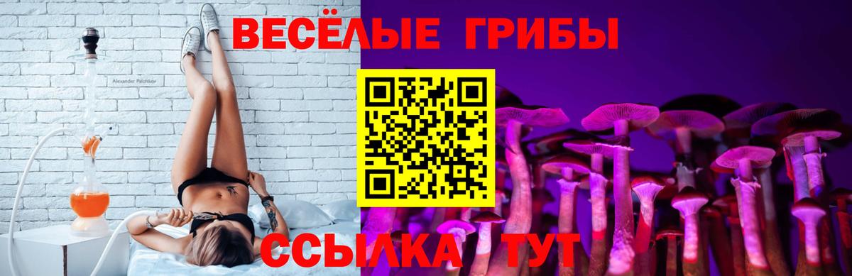 Псилоцибиновые грибы Magic Shrooms Михайловск